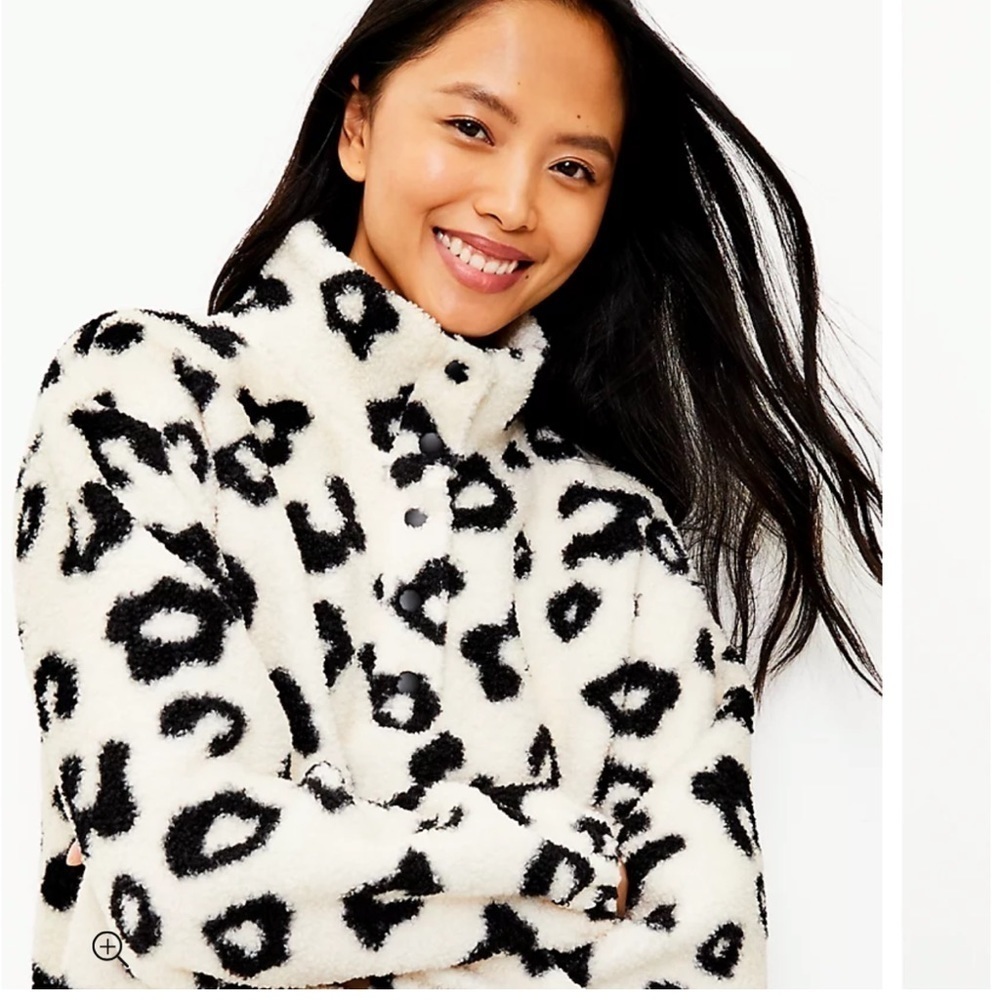 LOFT Animal Print Cream Pullover Sweater XSMALL
